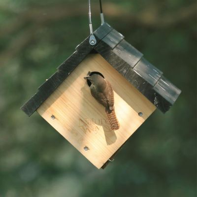 Image showing  Cedar Traditional Wren Bird House, 8-7/8 x 8-1/8 x 8in.