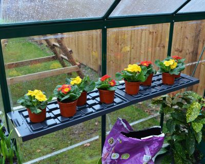 Image showing  Greenhouse Shelf Kit - 25.5 in. x 10.25 in. x 6.5 in.