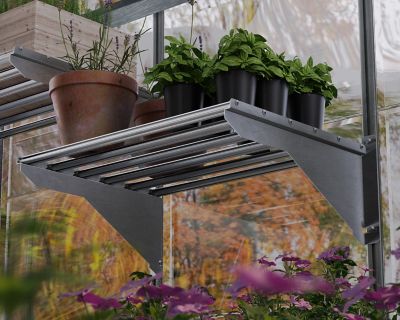 Image showing 5 th Canopia by Palram Heavy-Duty Greenhouse Shelf Kit, 22.75 in. x 16.5 in. x 8 in.