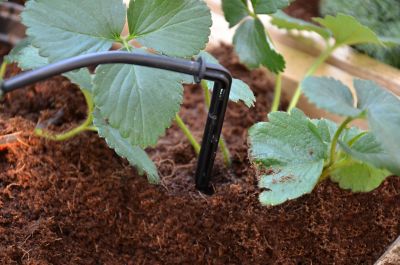 Image showing  Drip Irrigation Kit, Black, 1 in. x 1 in. x 1 in.