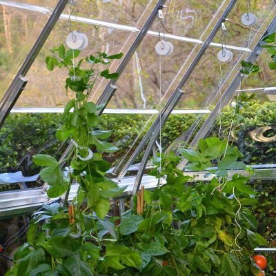 Image showing  Trellising Kit Pro for All Palram Canopia Greenhouses, Silver, 1 x 1 x 1in.