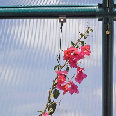 Image showing  Hanging and Anchoring Kit for Prestige, Grand/Hobby Gardener and EcoGrow Greenhouses