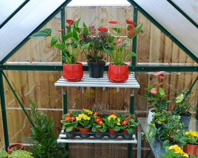 Image showing  6 L x 4 W ft. Green Canopia I Hybrid Greenhouse