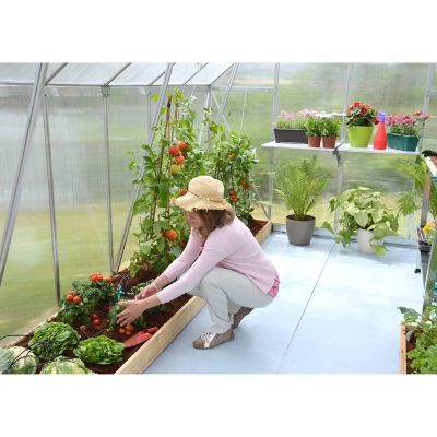 Image showing  12 L x 8 W ft. Silver I Essence Greenhouse