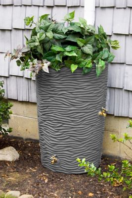 Image showing  50 gal. Impressions Palm Rain Saver Barrel, Dark Granite