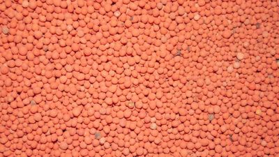 Image showing  Honey Hole Deer Food Plot Mix, 3 lb., Covers 1/2 Acre