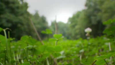 Image showing  50 gal. 12V Game Food Plot Spreader