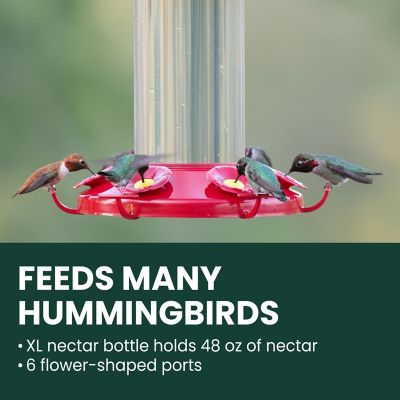 Image showing  48 oz. The Grand Master Hummingbird Feeder