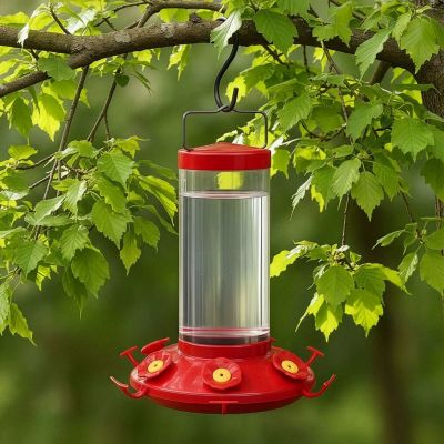 Image showing 5 th Perky-Pet 48 oz. The Grand Master Hummingbird Feeder