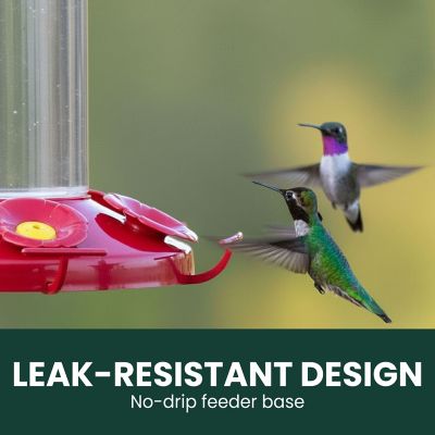 Image showing 7 th Perky-Pet 48 oz. The Grand Master Hummingbird Feeder