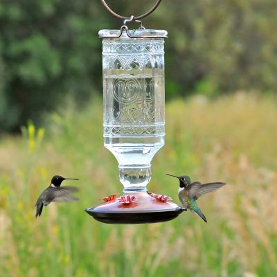 Perky-Pet 24 oz Garden Antique Red Glass Hummingbird Feeder Nectar Bird Supply 