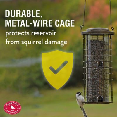 Image showing  3 lb. 8-Port Squirrel Stumper Bird Feeder
