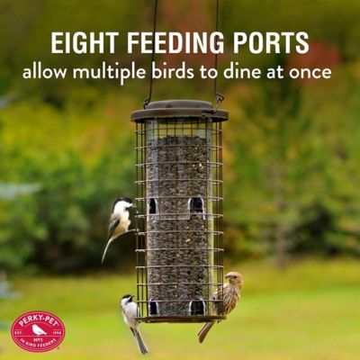Image showing  3 lb. 8-Port Squirrel Stumper Bird Feeder