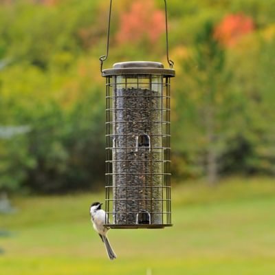 Image showing 7 th Perky-Pet 3 lb. 8-Port Squirrel Stumper Bird Feeder