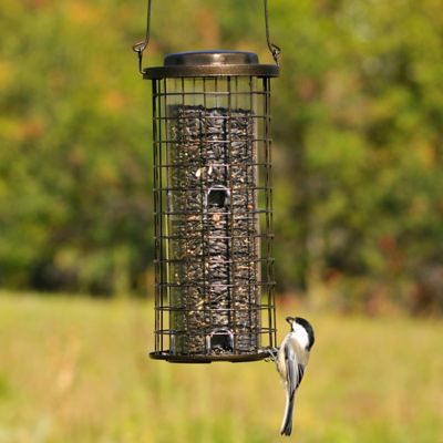 Image showing 9 th Perky-Pet 3 lb. 8-Port Squirrel Stumper Bird Feeder