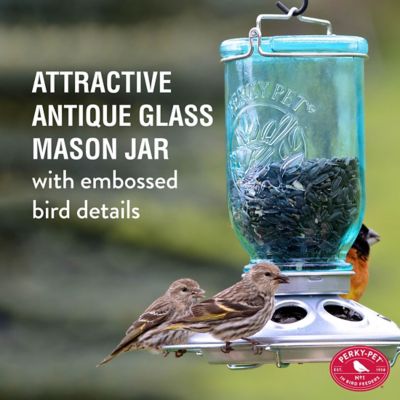 Image showing  1 lb. 8-Port Mason Jar Wild Bird Feeder