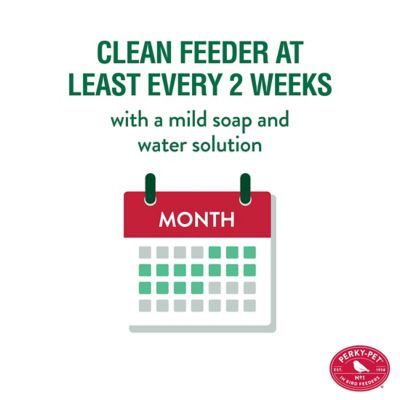 Image showing  1 lb. 8-Port Mason Jar Wild Bird Feeder