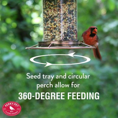 Image showing  2 lb. Squirrel-Resistant Copper Panorama Bird Feeder