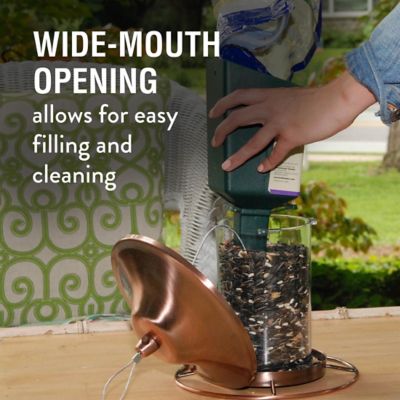 Image showing 5 th Perky-Pet 2 lb. Squirrel-Resistant Copper Panorama Bird Feeder