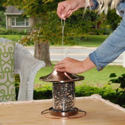 Image showing 9 th Perky-Pet 2 lb. Squirrel-Resistant Copper Panorama Bird Feeder