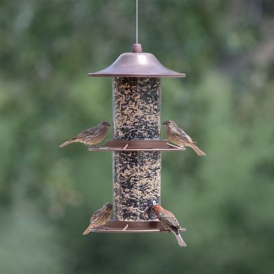 Hanging Bird Seed Feeder 2-Tier Copper Panorama Backyard Feeder 4.5 lb Capacity 