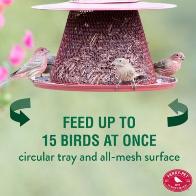Image showing  2.5 lb. Perky-Pet Red Cardinal Wild Bird Feeder