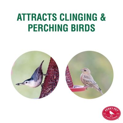 Image showing  2.5 lb. Perky-Pet Red Cardinal Wild Bird Feeder