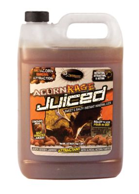 Wildgame Innovations 1 gal. Acorn Rage Juiced Deer Attractant