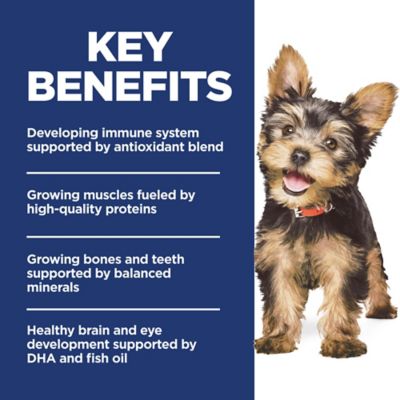 Image showing  Puppy Small and Mini Chicken and Brown Rice Recipe Dry Dog Food