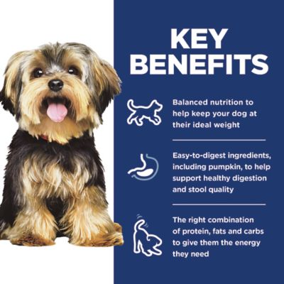 Image showing  Adult Small and Mini Chicken and Brown Rice Dry Dog Food