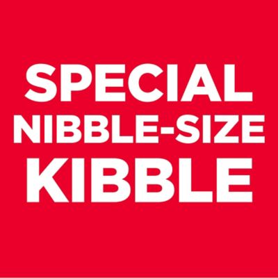 Image showing  Small and Mini Breed Senior Adult 7+ Chicken and Brown Rice Recipe Dry Dog Food