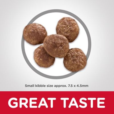 Image showing  Small and Mini Breed Senior Adult 7+ Chicken and Brown Rice Recipe Dry Dog Food