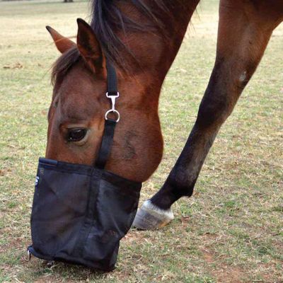 horse bag