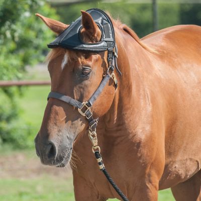 image of a Horse Blinds & Muzzles