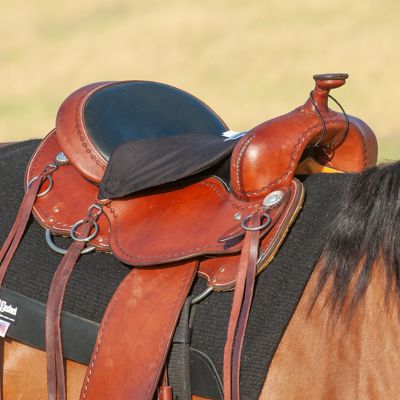 image of a Western Saddle Seat Cushions