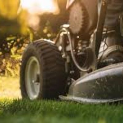 Image showing  20x8.00-8 2 Ply K358 Turf Rider Tires