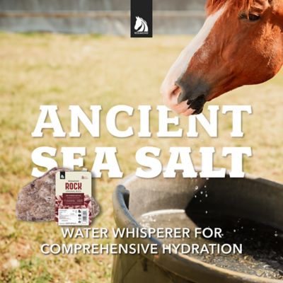 Image showing  Rock All-Natural Horse Mineral Salt, 7 lb.