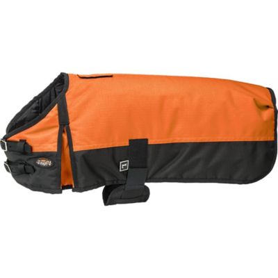 Image showing  600D Wearable Dog Blanket