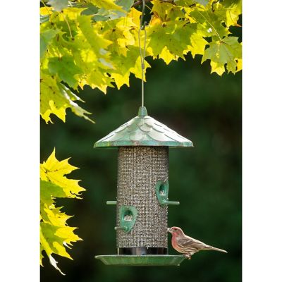 Image showing  2.79 lb. 4-Port Acorn Screen Bird Feeder