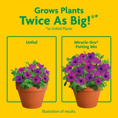 Image showing 5 th Miracle-Gro 16 qt. Potting Mix, For Container Plants