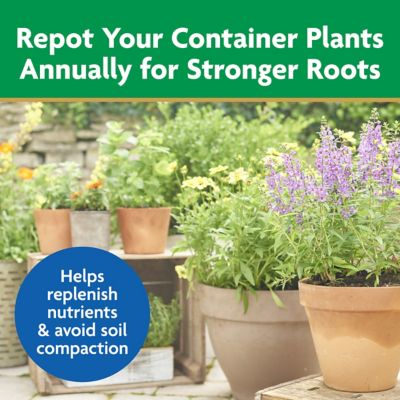 Image showing 8 th Miracle-Gro 16 qt. Moisture Control Potting Mix