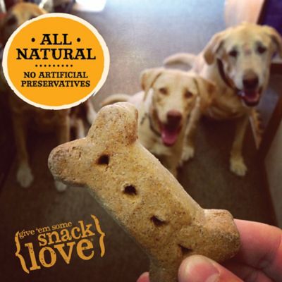 Image showing  Classic Peanut Butter Flavor Oven-Baked Dog Biscuit Treats, 20 oz.