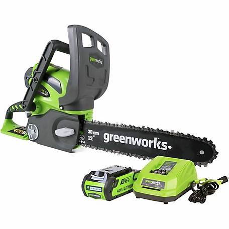Greenworks 40V 12-in Cordless Compact Chainsaw, 2.0 Ah Battery
