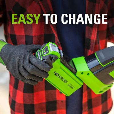 Image showing 5 th Greenworks 40V 2.0 Ah Lithium-Ion Battery