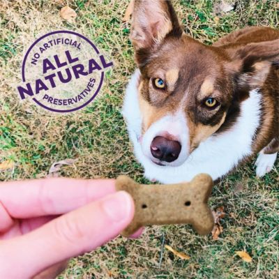 Image showing  Crunchy Classic Natural Original Assorted Small Dog Treat Biscuits, 53 oz.