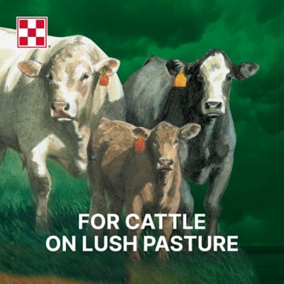 Purina Wind and Rain High Magnesium 4 Complete Cattle Mineral Feed, 50 lb. Bag