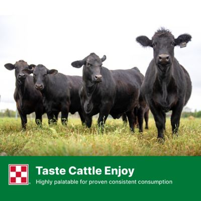 Purina Wind and Rain High Magnesium 4 Complete Cattle Mineral Feed, 50 lb. Bag