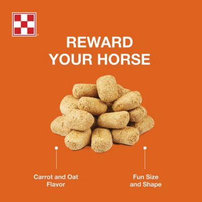 Image showing  Carrot and Oat Flavor Horse Treats, 2.5 lb.