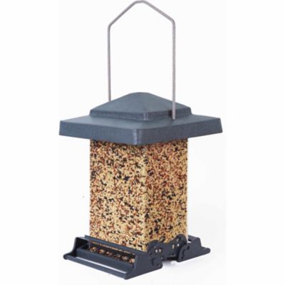 Audubon Vista Squirrel-Resistant Bird Feeder, 9 lb. Capacity I have a family of squirrels that have been emptying my feeders, this feeder has proven to be squirrel proof and large bird