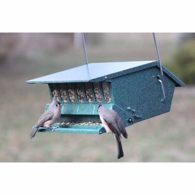 Image showing  9 lb. Original Bird's Choice Squirrel-Resistant Bird Feeder